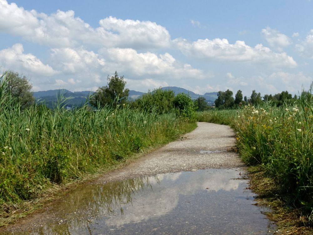 überfluteter Wanderweg und Bachtel