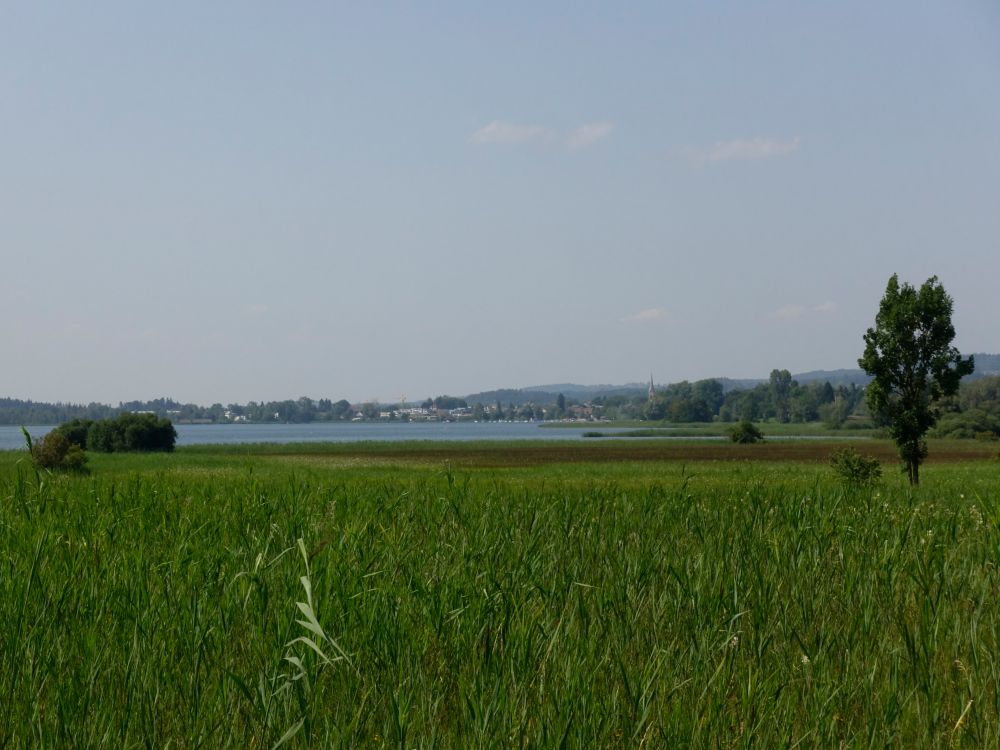 Blick Richtung Pfäffikon