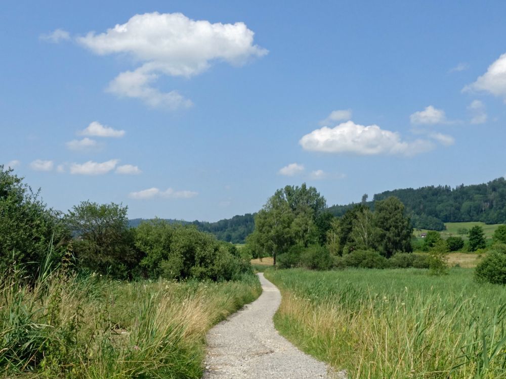 Wanderweg