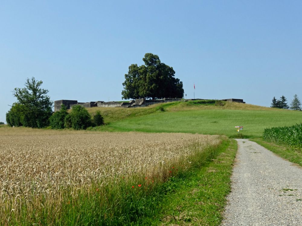 Römerkastell Irgenhausen