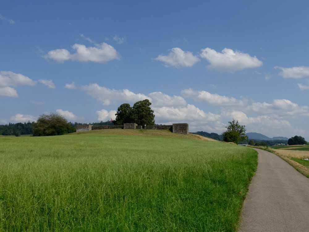 Römerkastell Irgenhausen