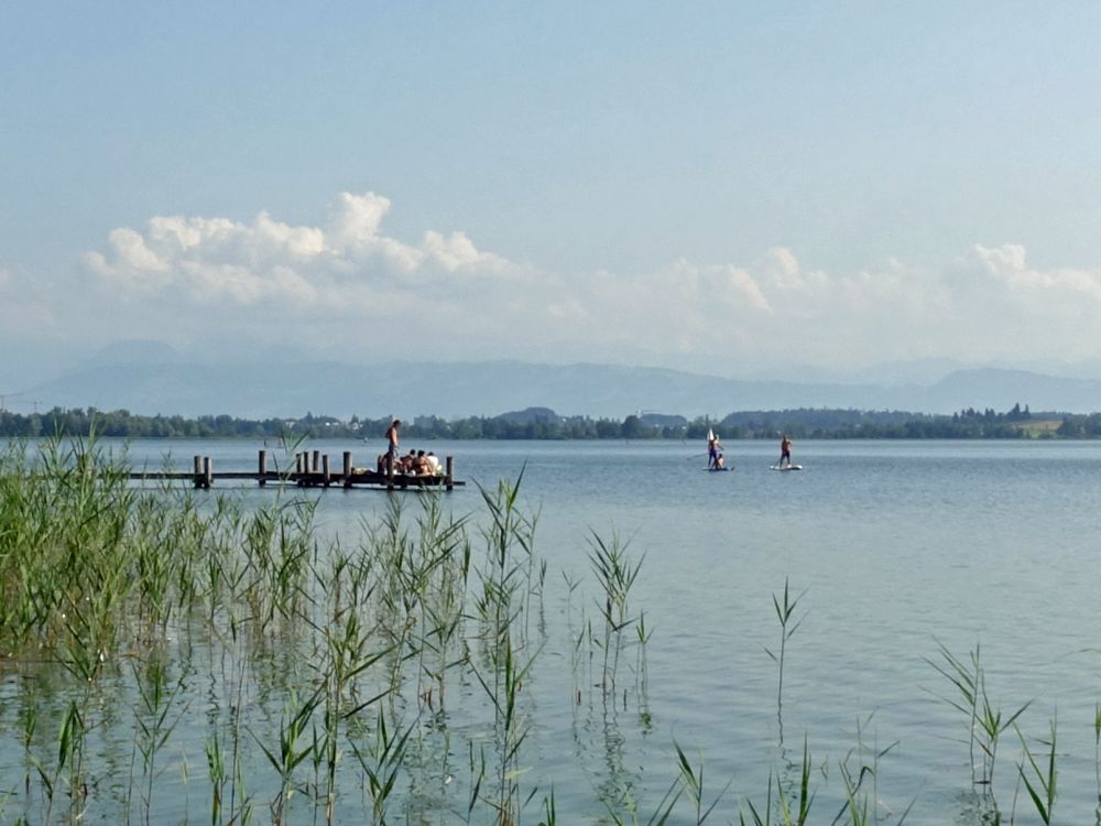 Holzsteg und Standup Paddler