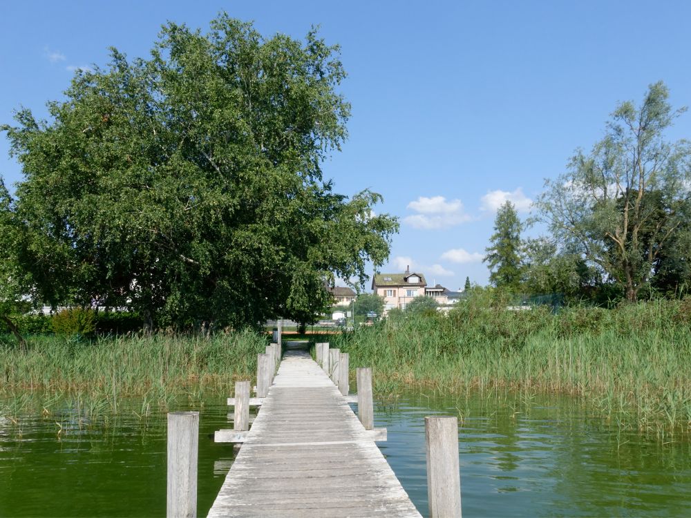 Holzsteg bei Pfäffikon