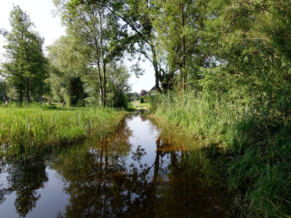 überfluteter Wanderweg