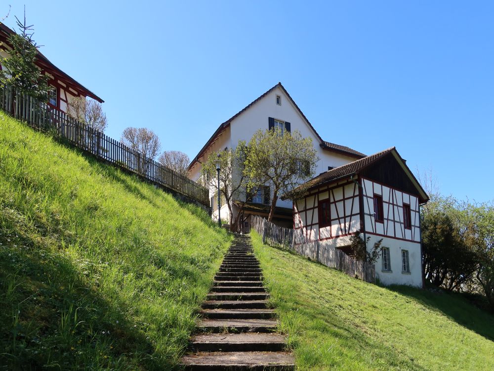 Wieshofsteig