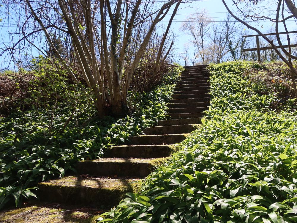 Treppe