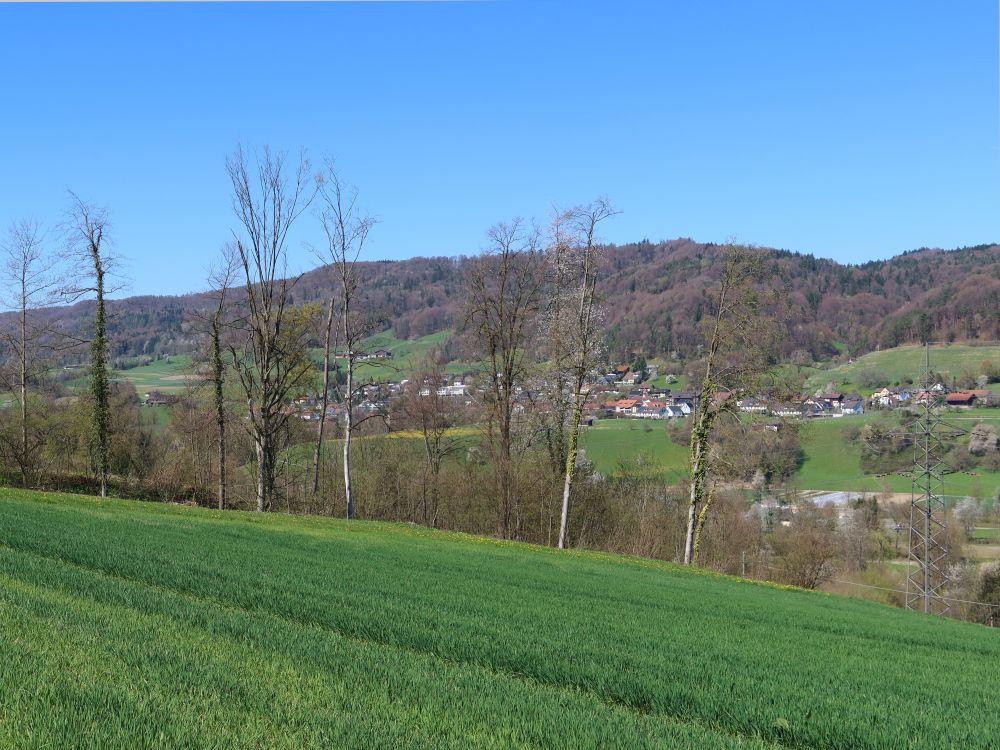 Blick Richtung Dättlikon