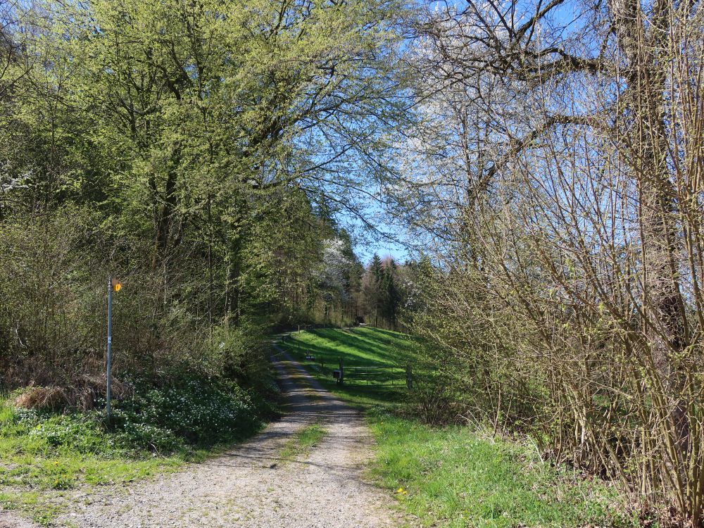 Blanenweg