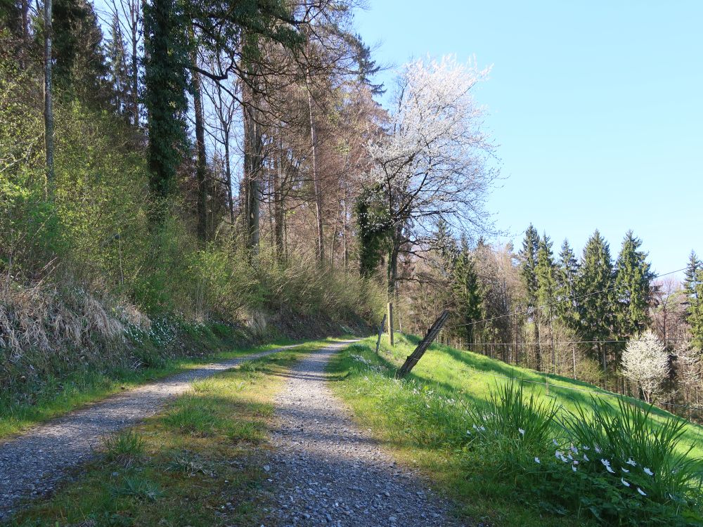 Blanenweg
