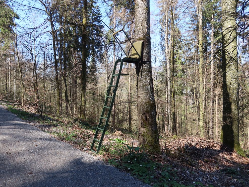 Jägersitz