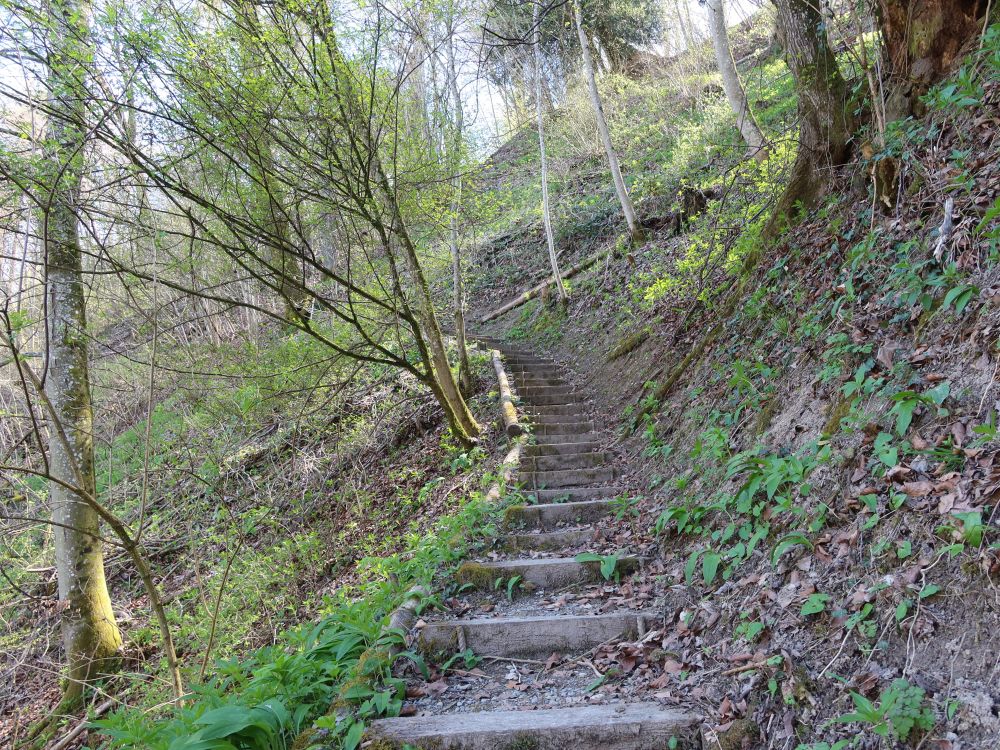 Treppe