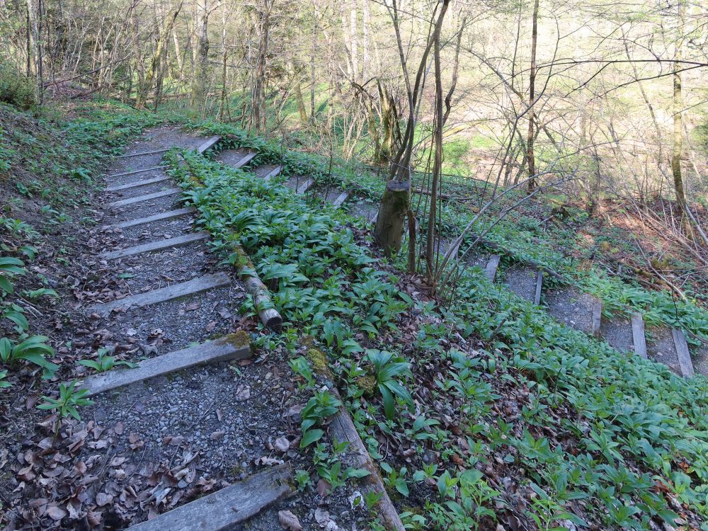 Treppe