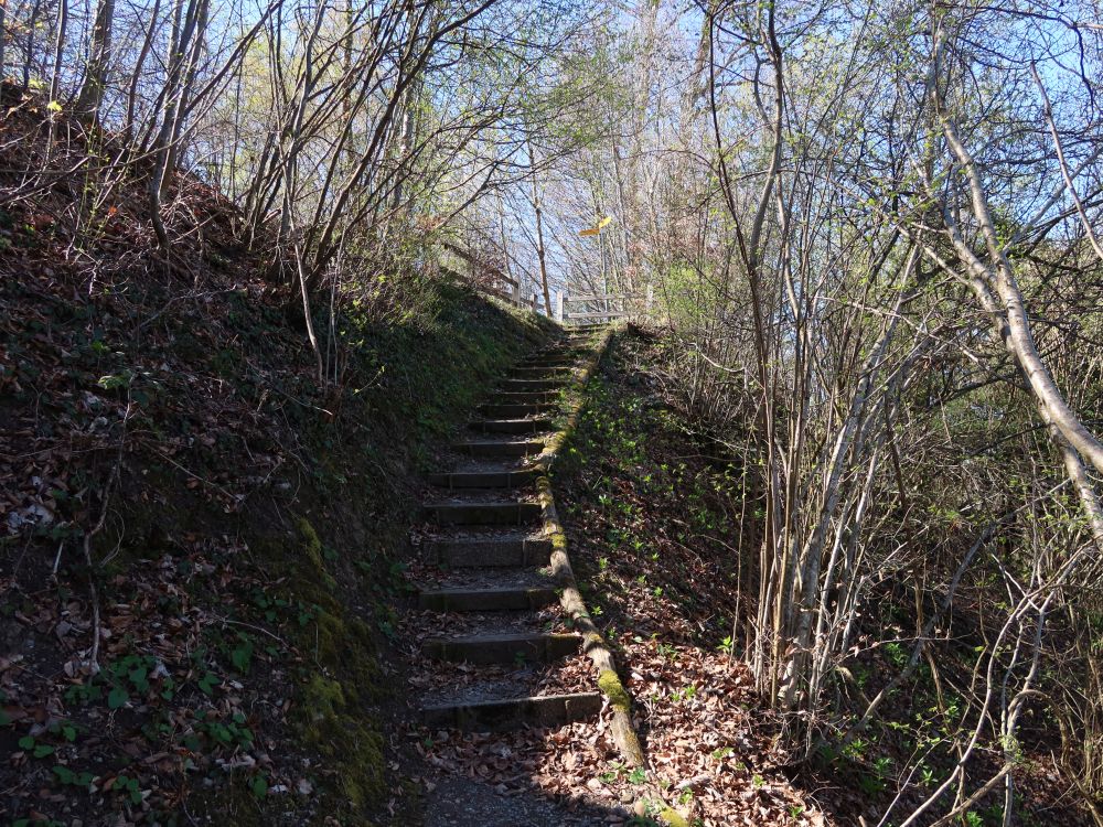 Treppe