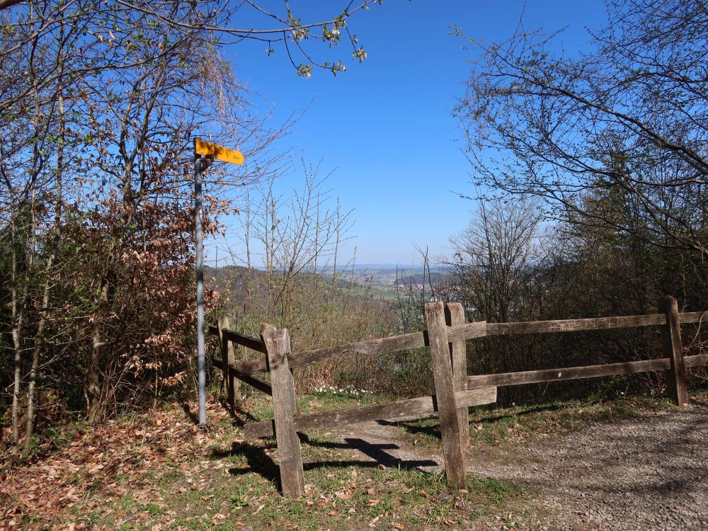 Aussicht am Tisch