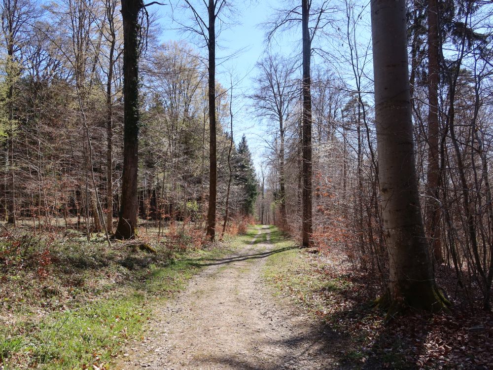 Tischstrasse
