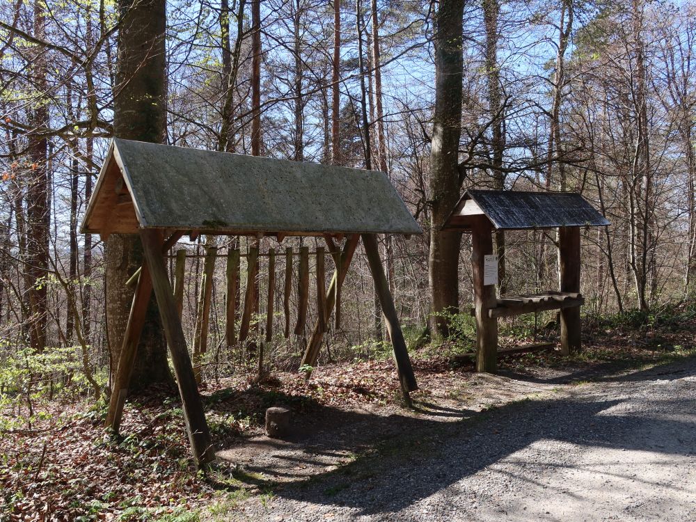 Waldklänge