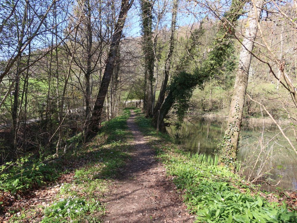 Pfad am Teich