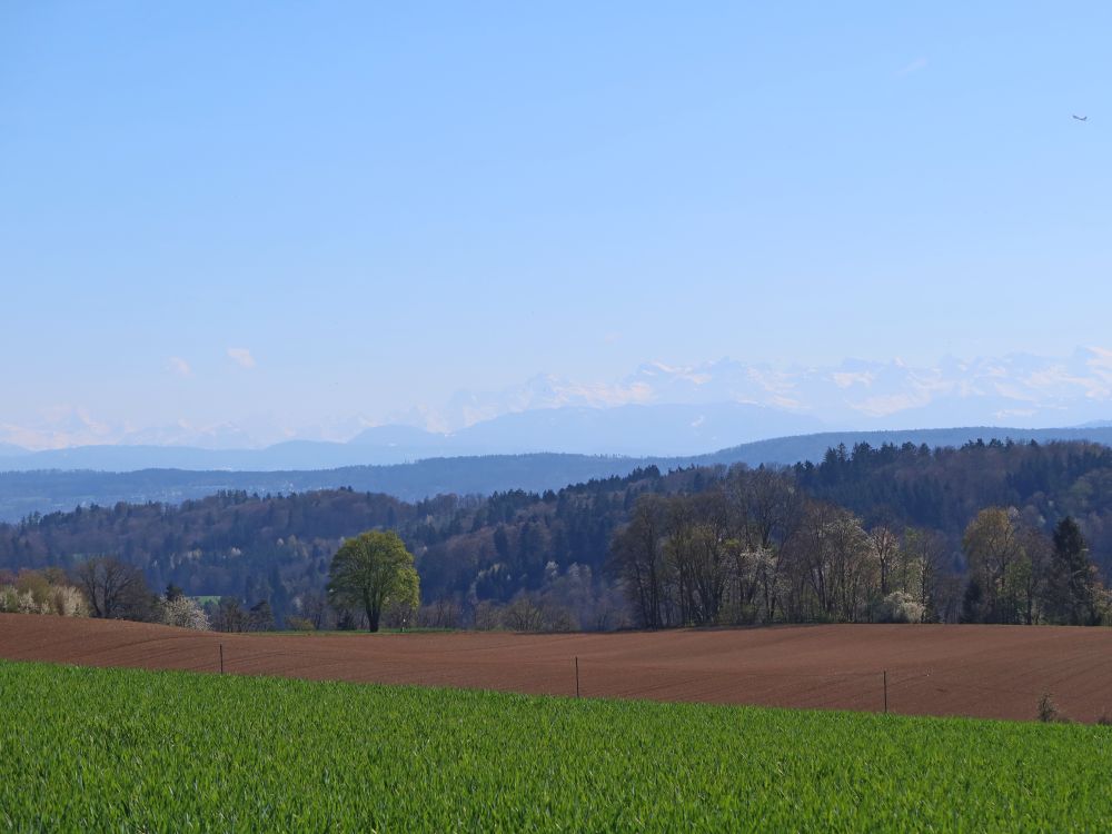 Alpen im Dunst