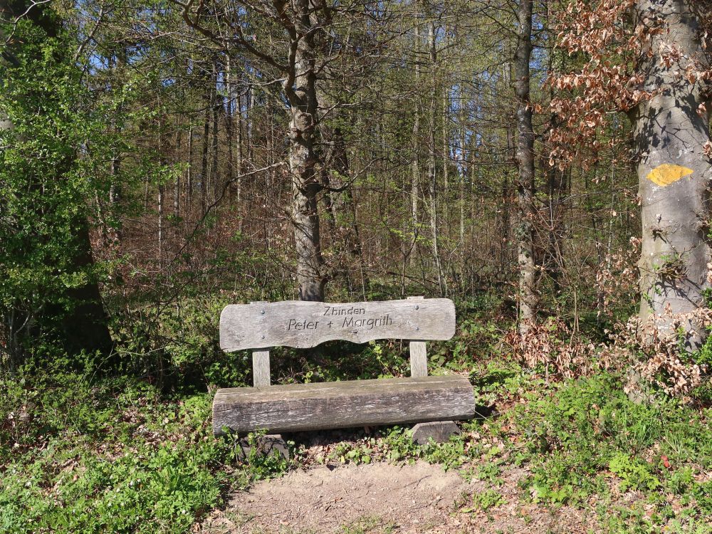 Sitzbank am Waldrand