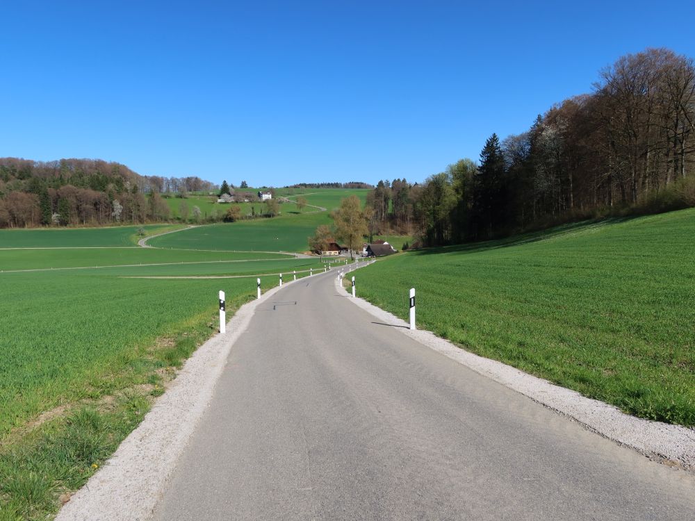 Trinenmoosstrasse