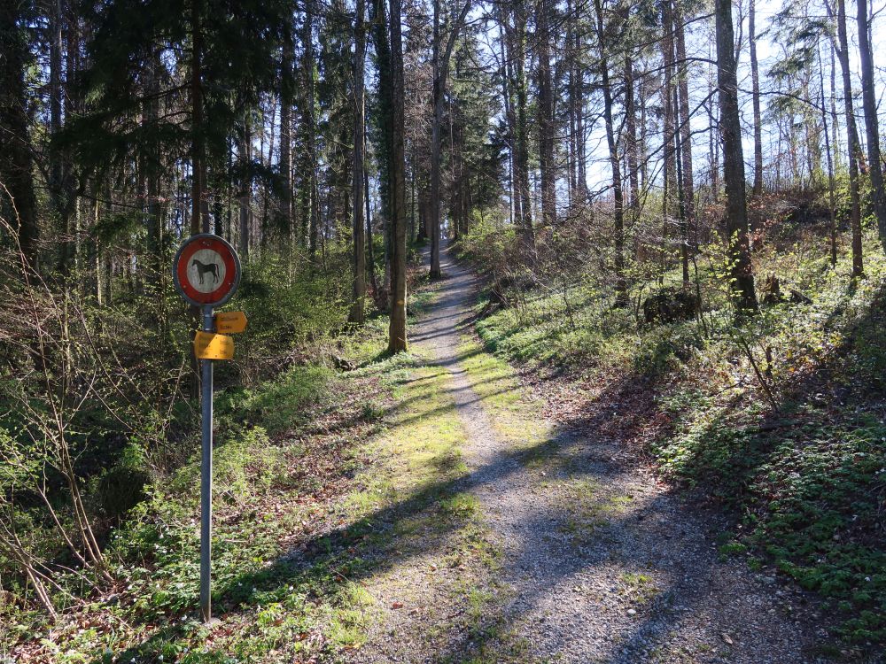 Buckwiesenstrasse