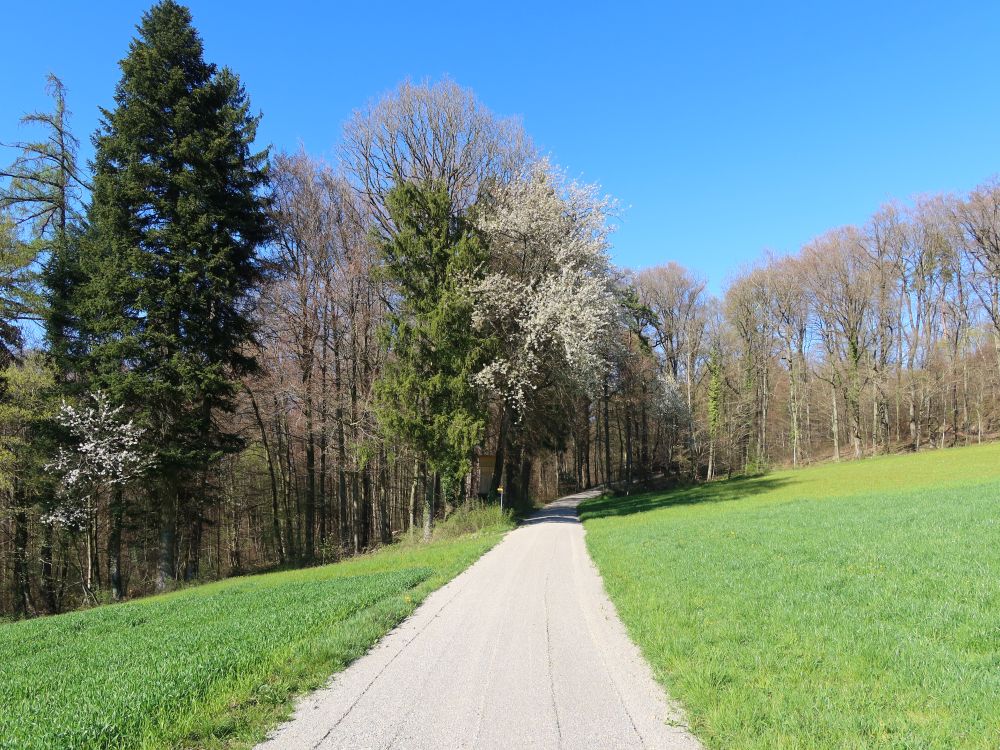 Eigelhartenstrasse