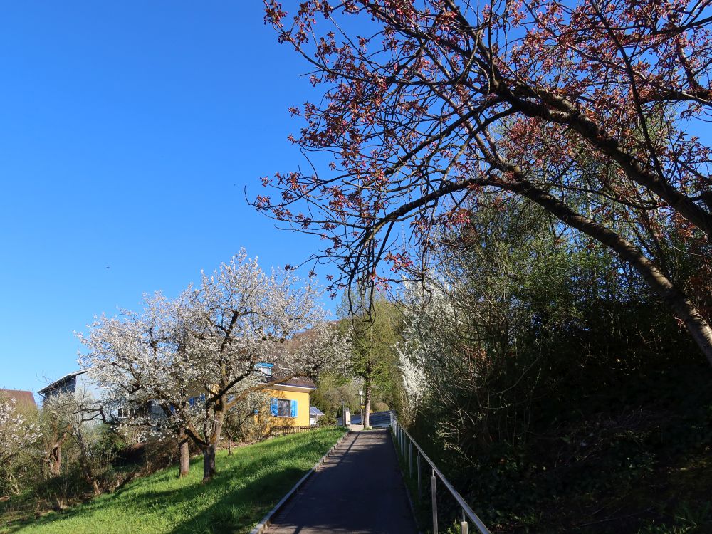Windeggweg