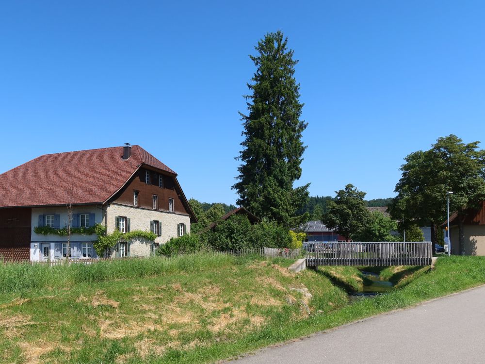 Holzsteg übern Dorfbach