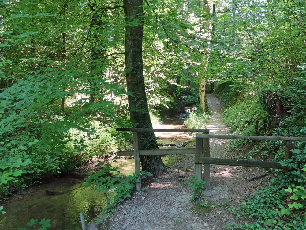 Weg am Dorfbach