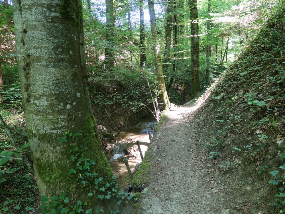 Weg am Dorfbach