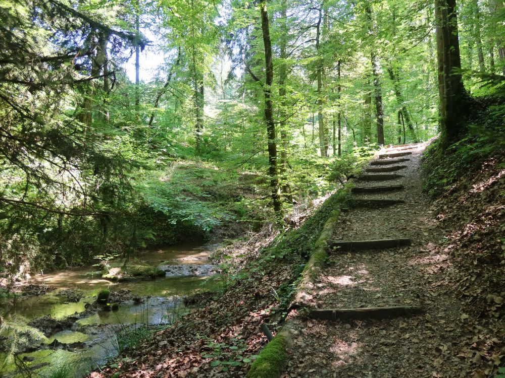 Treppe am Dorfbach