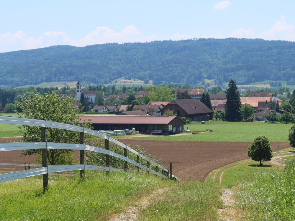 Blick zum Städtli