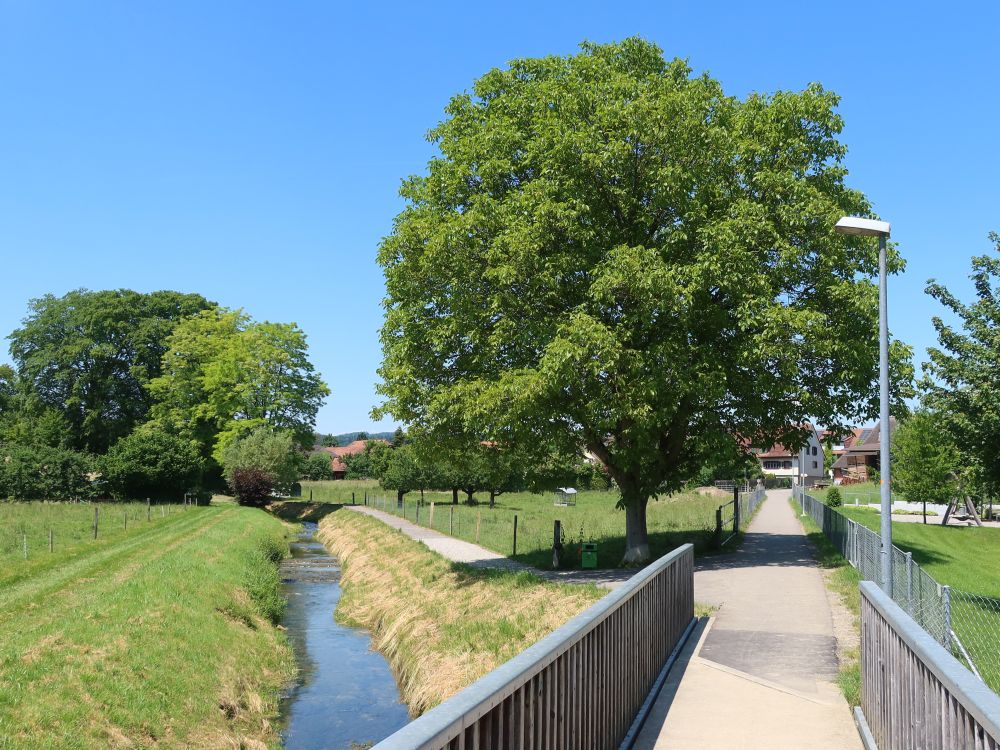 Schulerweg kreuzt Dorfbach