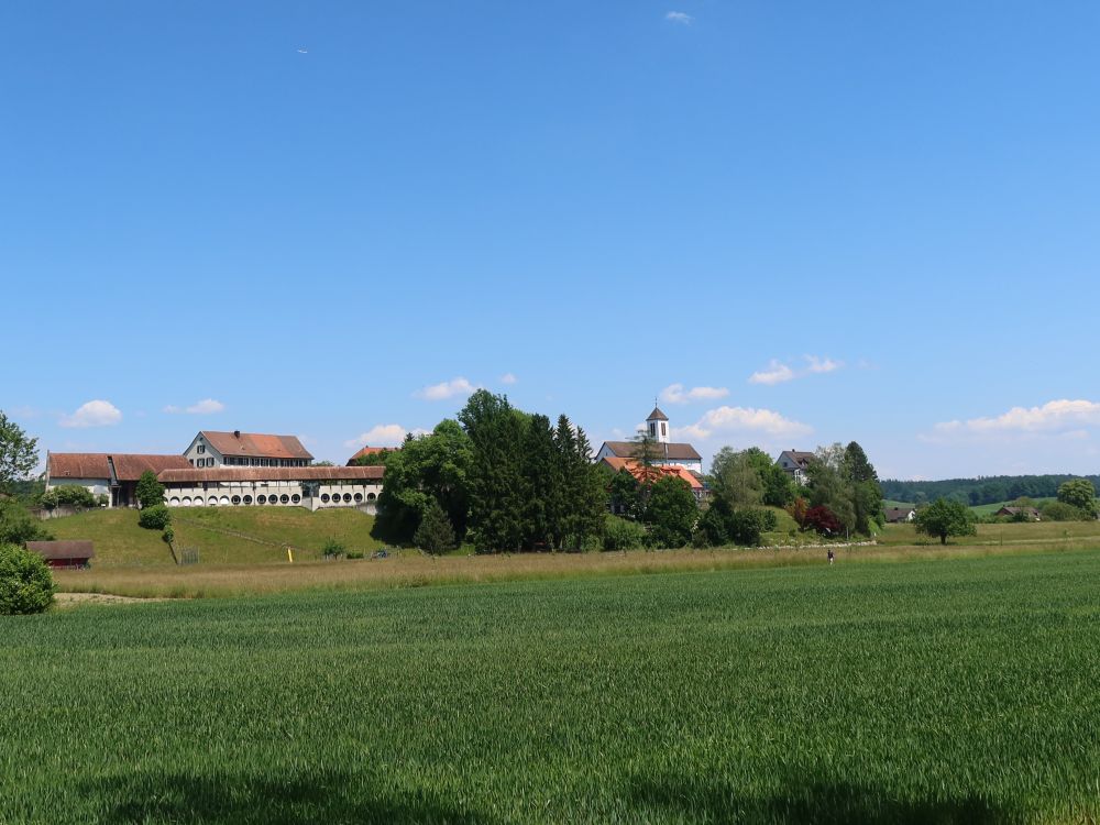 Blick zum Städtli