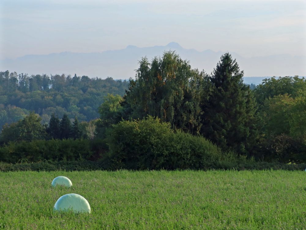 Säntis uns Altmann im Dunst