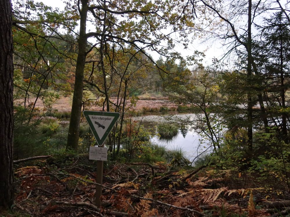 Dingelsdorfer Weiher