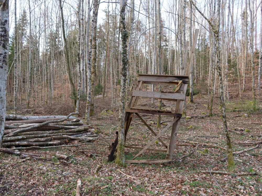 schräger Jägerstand