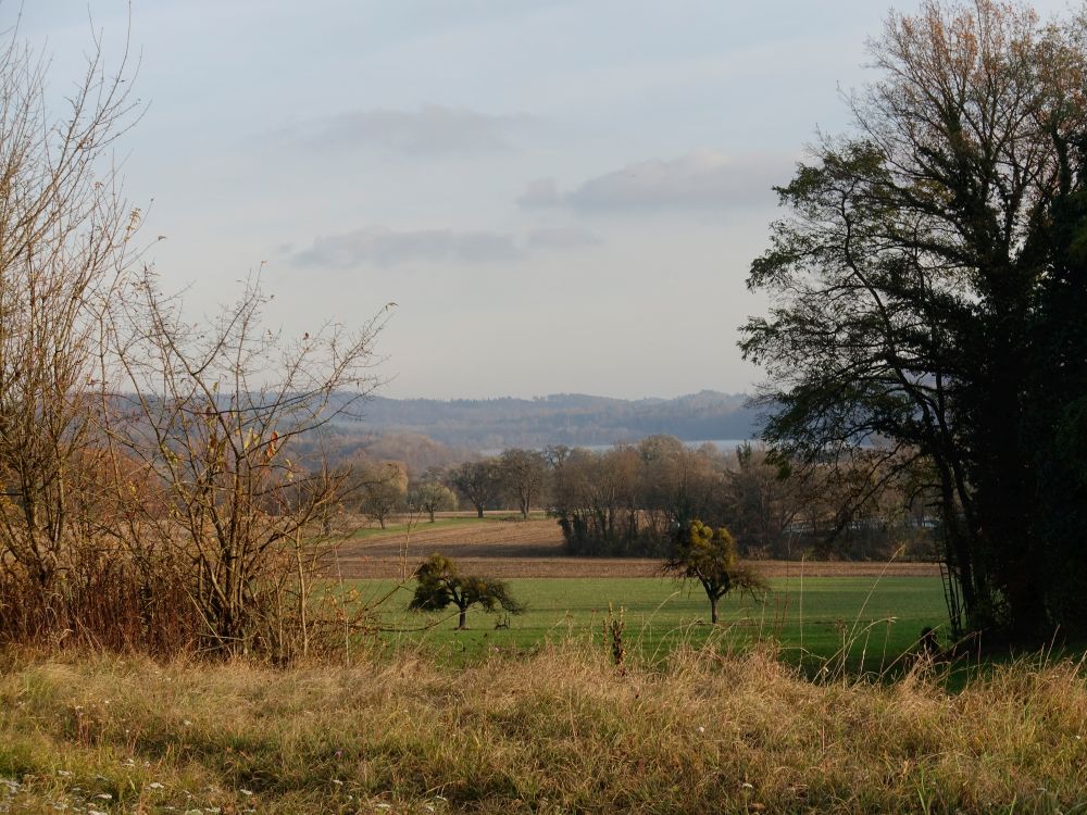 Blick Richtung Mindelsee