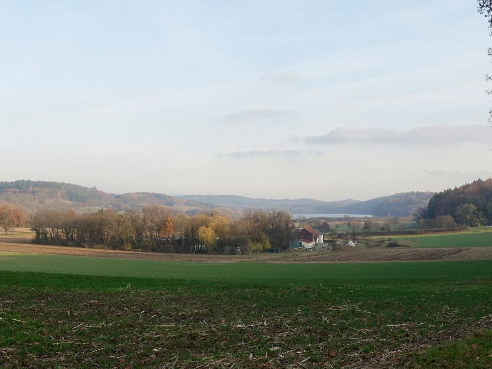 Blick Richtung Ziegelhof und Mindelsee