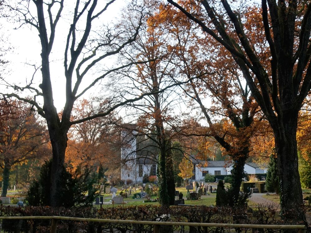 Waldfriedhof Radolfzell