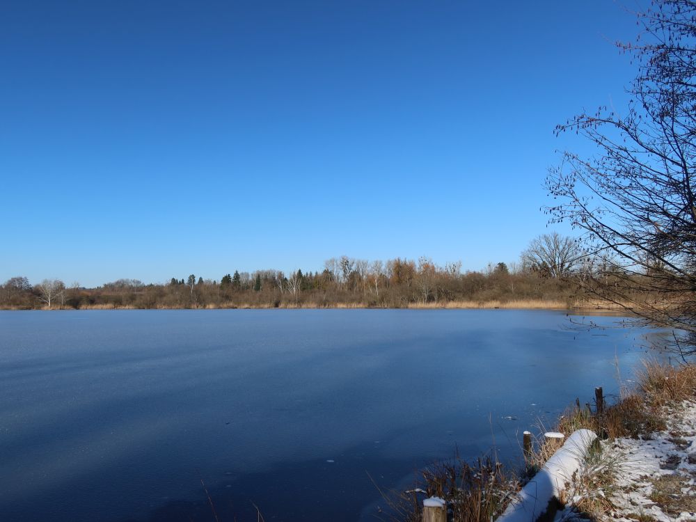 Ziegeleiweiher Rickelshausen