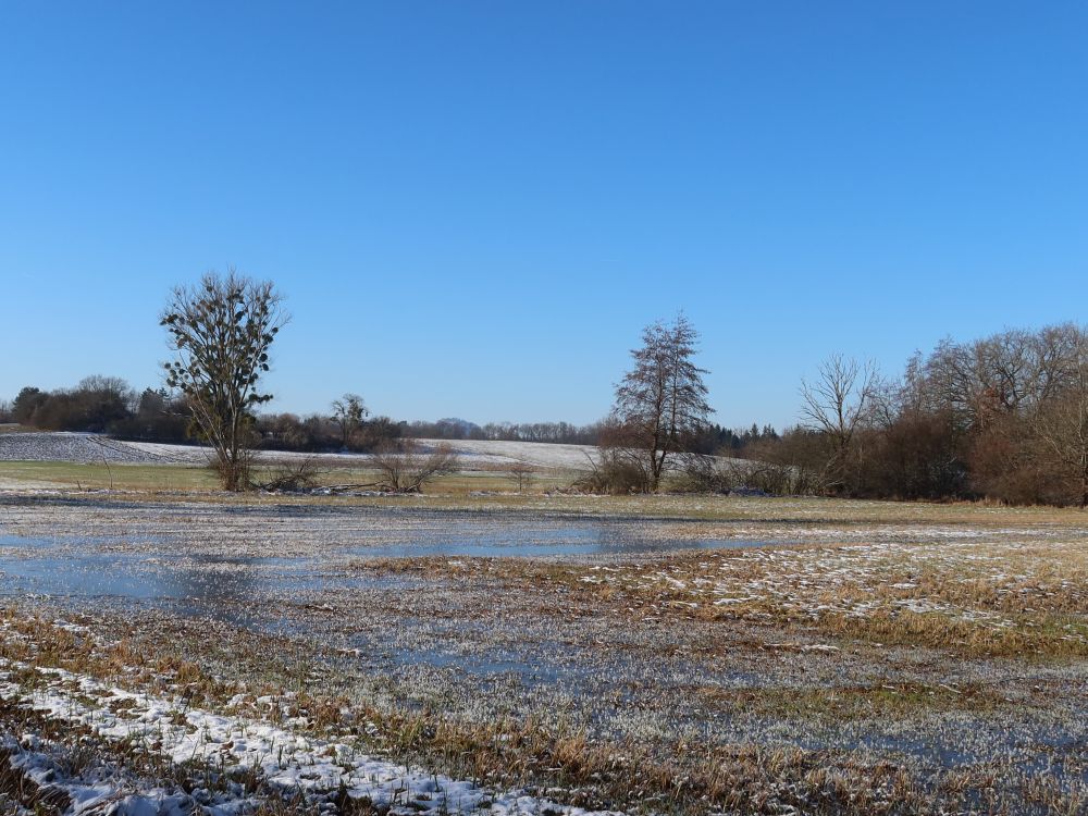 Eisflächen im Ried