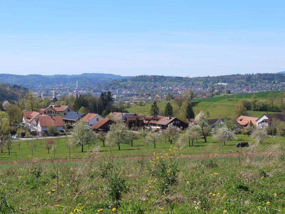 Blick Richtung Winterthur