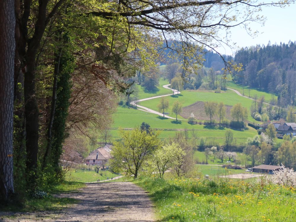 Felsenhof und Rickenwilerstrasse oberhalb