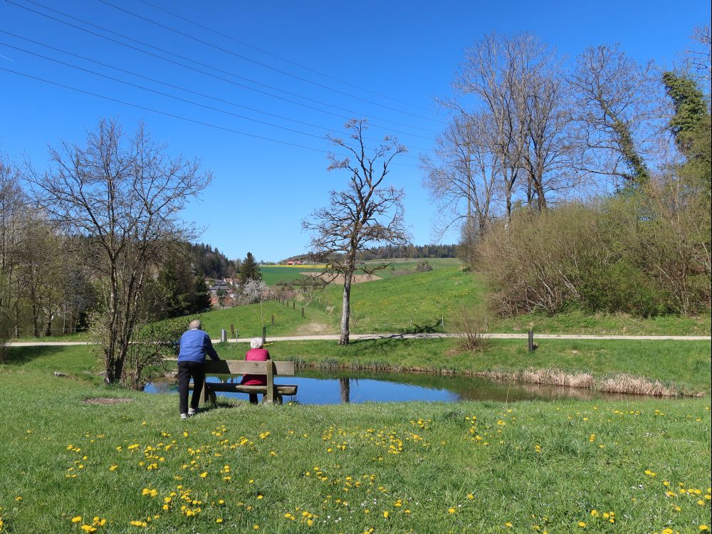 Teich bei Unter Schottikon