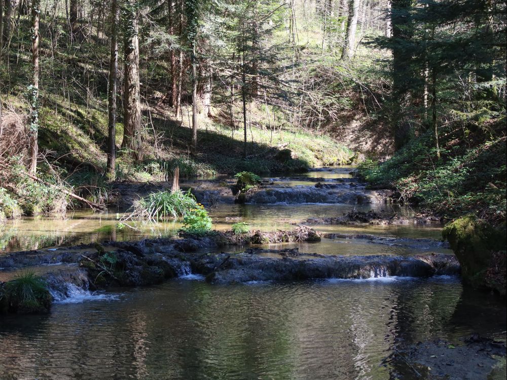 Waltensteiner Eulach