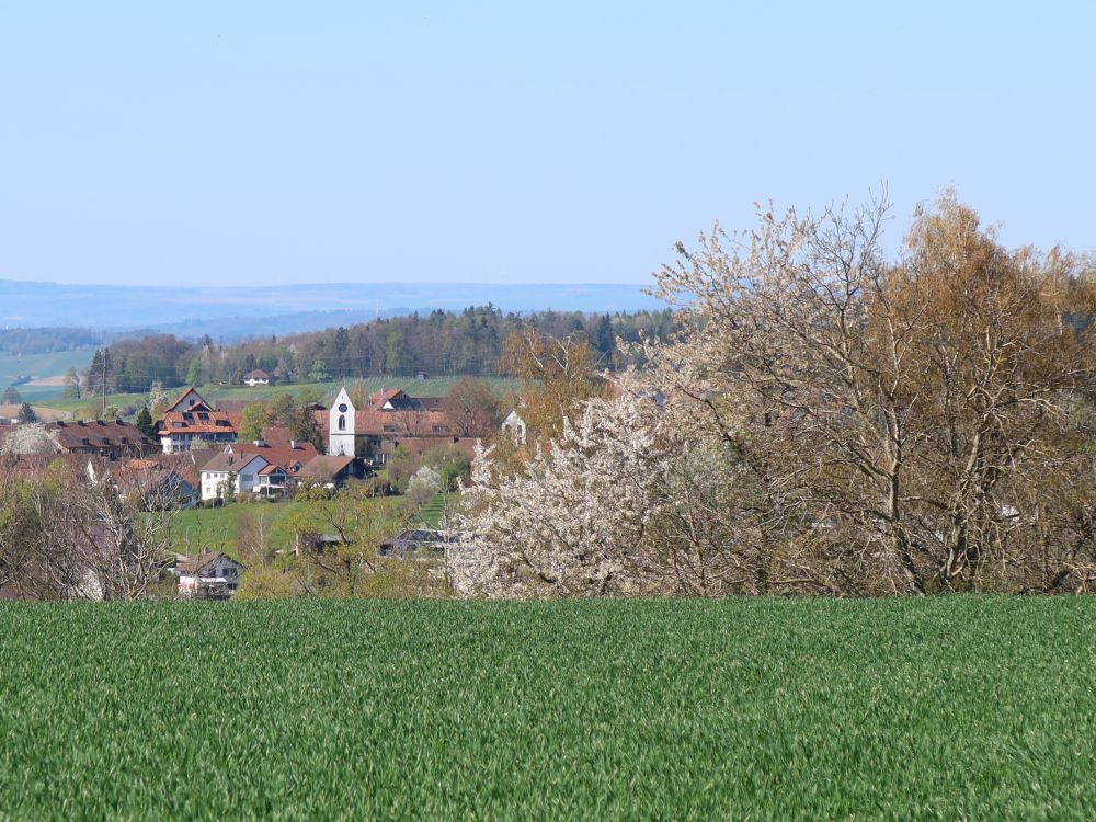 Blick Richtung Oberhof