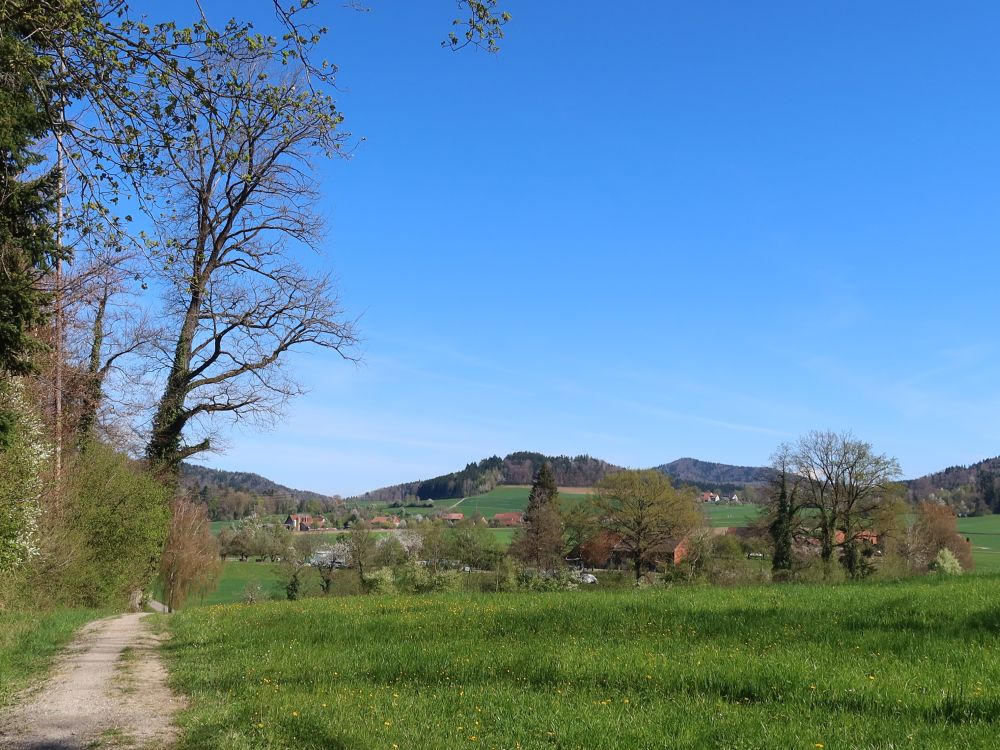 Blick Richtung Weingarten