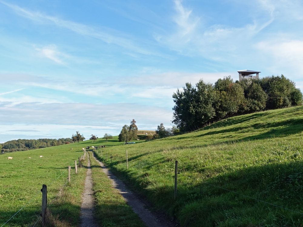 Gewerbeturm Amriswil