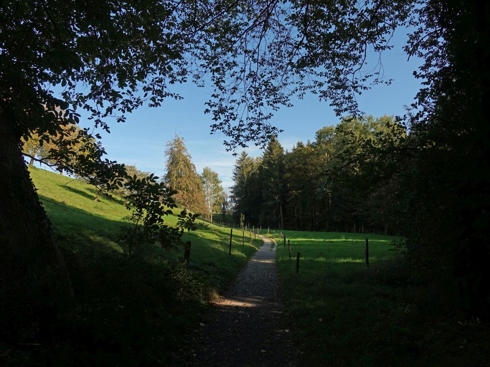 Wanderweg